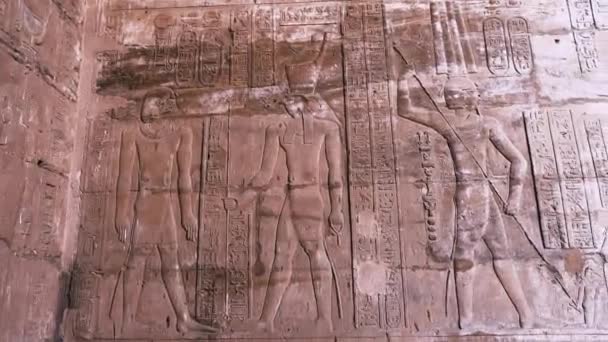 Wall Paintings Ancient Civilization Temple Edfu Egypt — Stock video