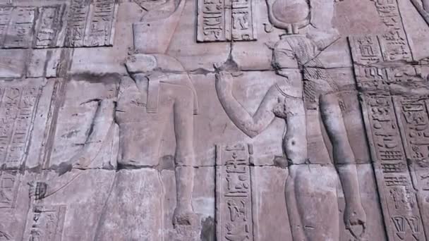 Wall Paintings Ancient Civilization Temple Edfu Egypt — 图库视频影像