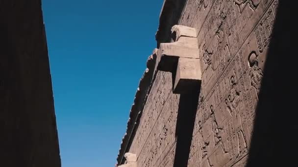 Wall Paintings Ancient Civilization Temple Edfu Egypt — Stock video