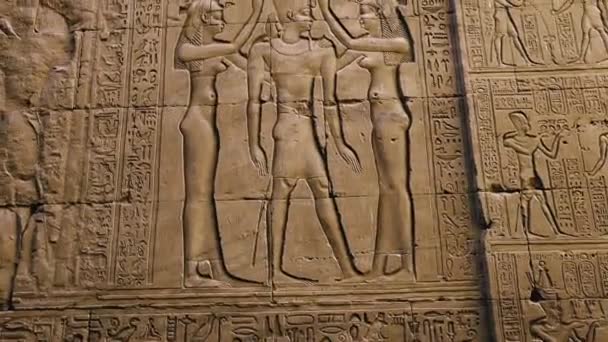 Wall Paintings Ancient Civilization Temple Edfu Egypt — Vídeo de stock
