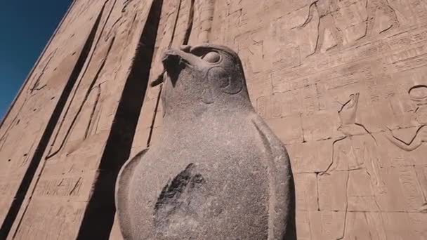 Statues Gods Temple Edfu Egypt — стоковое видео