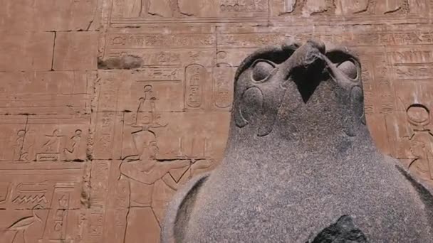 Statues Gods Temple Edfu Egypt — Stockvideo