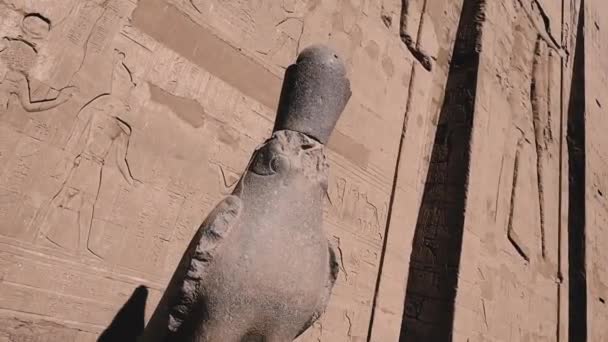 Statues Gods Temple Edfu Egypt — Stockvideo