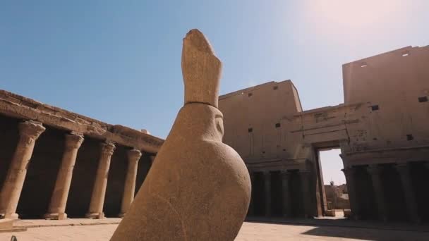 Statues Gods Temple Edfu Egypt — 图库视频影像