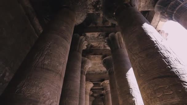 Majestic Columns Temple Edfu Egypt — Stock video