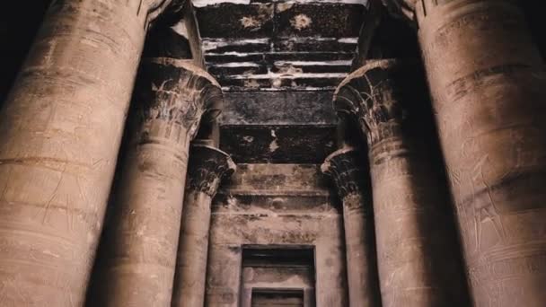 Majestic Columns Temple Edfu Egypt — стокове відео