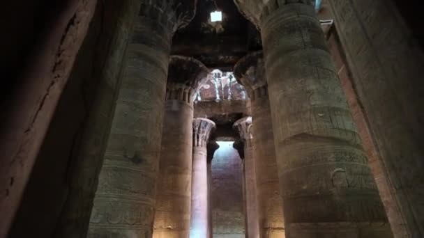 Majestic Columns Temple Edfu Egypt — Stok video
