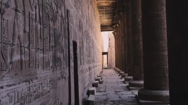 Majestic Columns Temple Edfu Egypt — Stockvideo