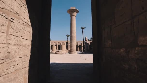 Huge Columns Karnak Temple Egypt — Stockvideo