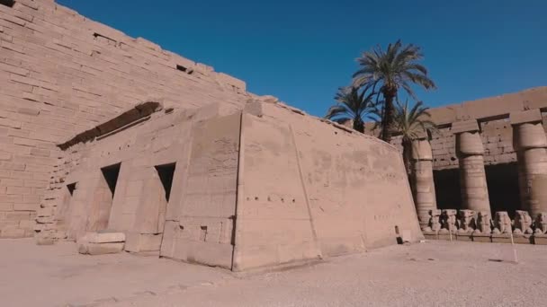 Huge Columns Karnak Temple Egypt — Video Stock