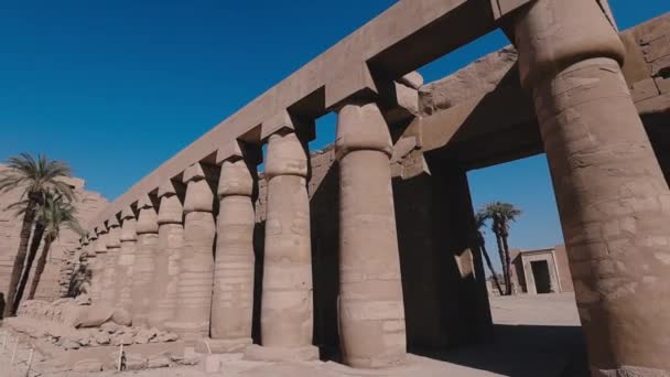 Huge Columns Karnak Temple Egypt — Stockvideo
