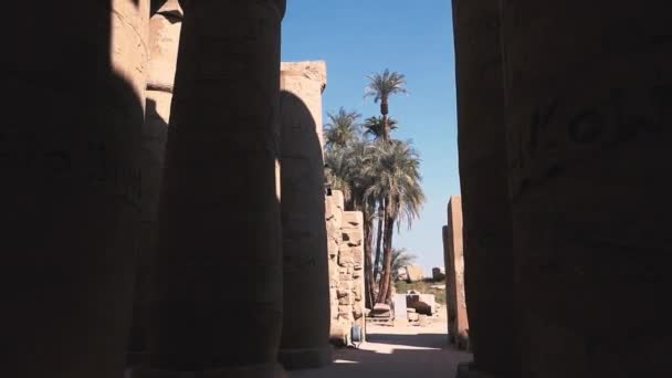 Huge Columns Karnak Temple Egypt — Vídeos de Stock