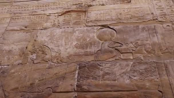 Egyptian Drawings Walls Karnak Temple Luxor — Vídeo de stock
