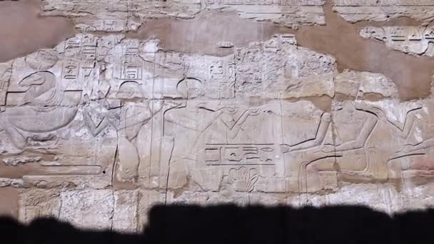 Egyptian Drawings Walls Karnak Temple Luxor — стоковое видео