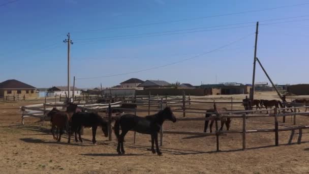 Zhalanash Village Aral Region Kazakhstan — Stok video