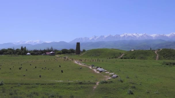 Знаменита Буранська Вежа Киргизстані — стокове відео