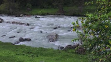 Kırgızistan Karakol Vadisi 'nde Yeşil Manzara