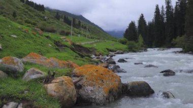 Kırgızistan Karakol Vadisi 'nde Yeşil Manzara