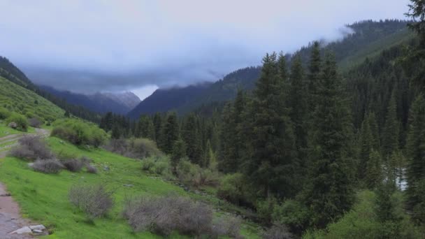 Paesaggi Verdi Karakol Gorge Kirghizistan — Video Stock