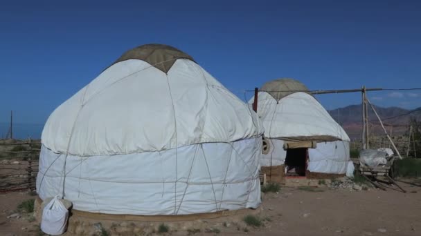 Традиционный Кыргызский Юрточный Лагерь Берегу Иссык Куля Кыргызстан — стоковое видео