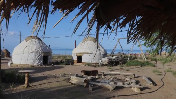Camp Traditionnel Yourtes Kirghizes Sur Côte Issyk Kul Kirghizistan — Video