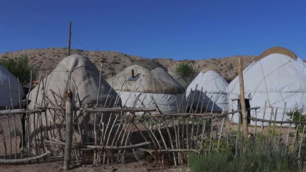 Tradycyjny Kirgiski Obóz Jogurtowy Wybrzeżu Issyk Kul Kirgistan — Wideo stockowe