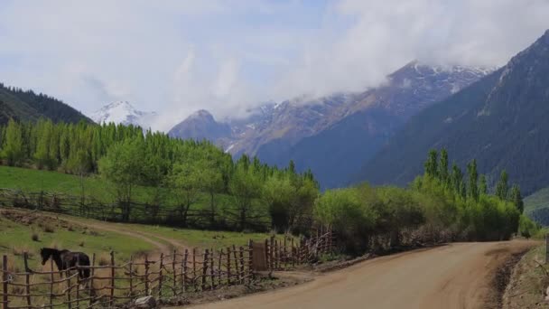 Strada Tra Paesaggi Montani Del Kirghizistan — Video Stock