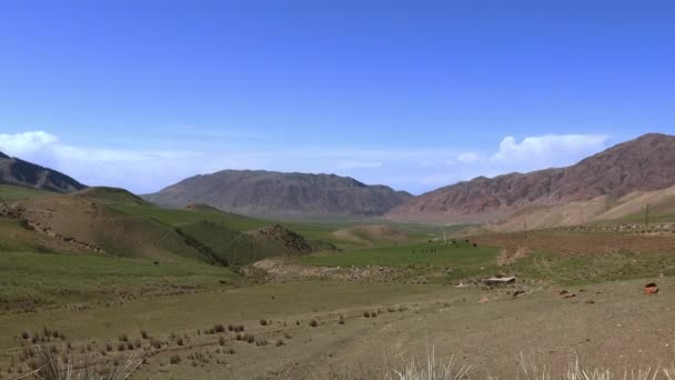 Berge Und Naturlandschaften Kirgisistans — Stockvideo