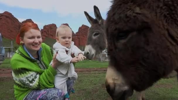 Mom Baby Play Donkey Village — Stock Video