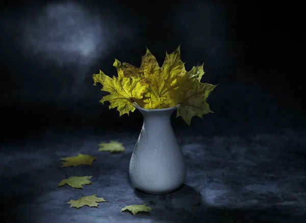 Beyaz Seramik Bir Vazoda Sarı Akçaağaç Yapraklarıyla Dolu Bir Hayat — Stok fotoğraf