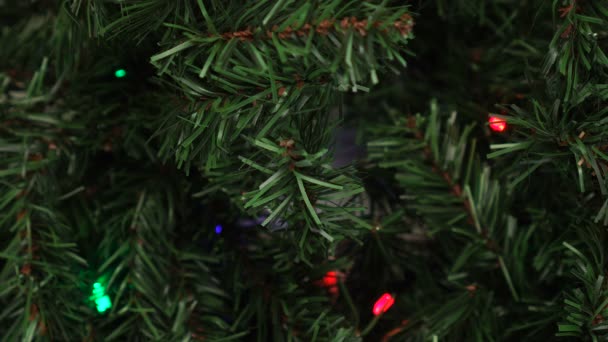 Árvore de Natal decorada com luzes de Natal. Bela grinalda na véspera de Ano Novo — Vídeo de Stock