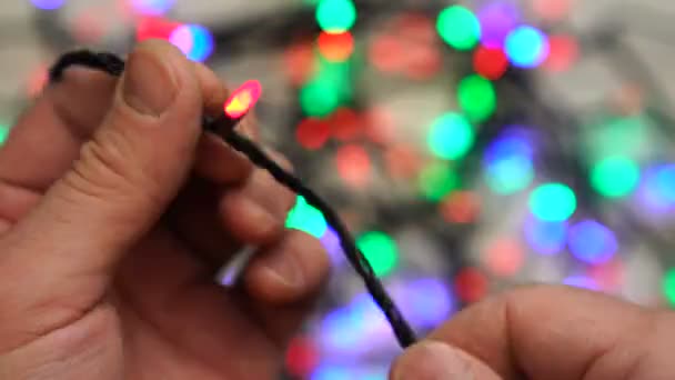 Man attempts to untangle a string of Christmas garland — Stock Video
