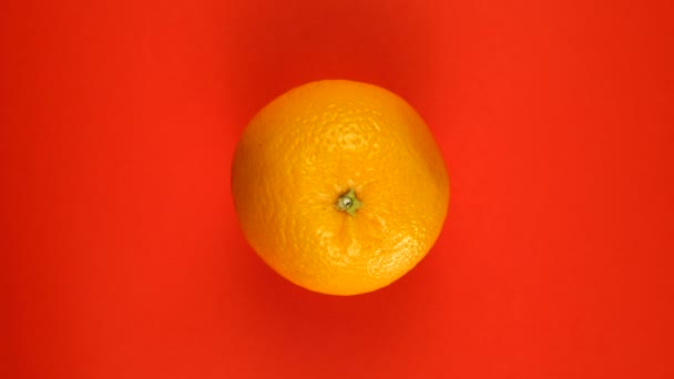 Один апельсин вращается на красном. — стоковое видео