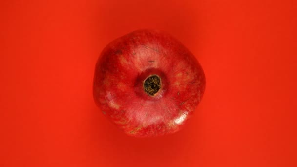 Ovanifrån av långsamt roterande rött granatäpple på röd bakgrund isolerad. — Stockvideo