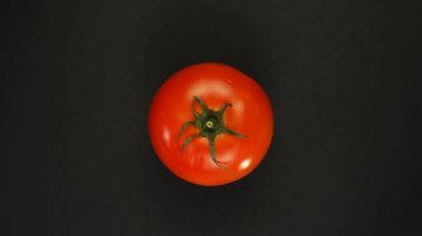 Olgun bütün domates meyvesi kırmızı arka planda kendi ekseni etrafında döner.