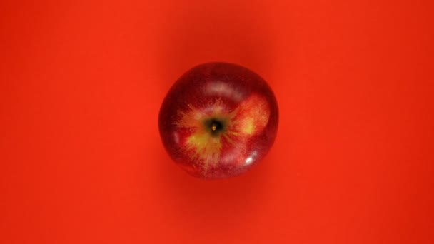 Ovanifrån av långsamt roterande rött äpple på röd bakgrund isolerad. — Stockvideo