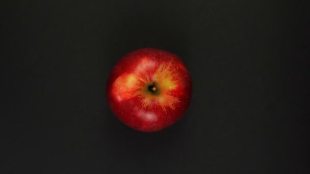 Rotation pomme rouge sur fond noir. — Video