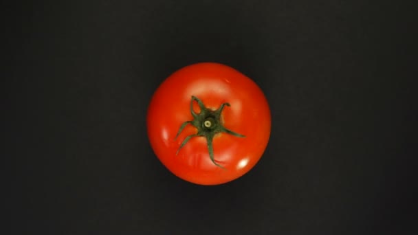 I pomodori interi maturi ruotano attorno al loro asse su fondo rosso. — Video Stock