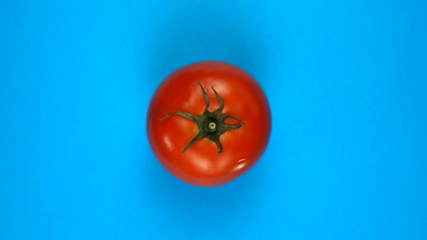 Un tomate gira sobre azul. — Vídeos de Stock