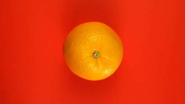 オレンジの果実全体を赤い背景に軸を中心に回転させます. — ストック動画