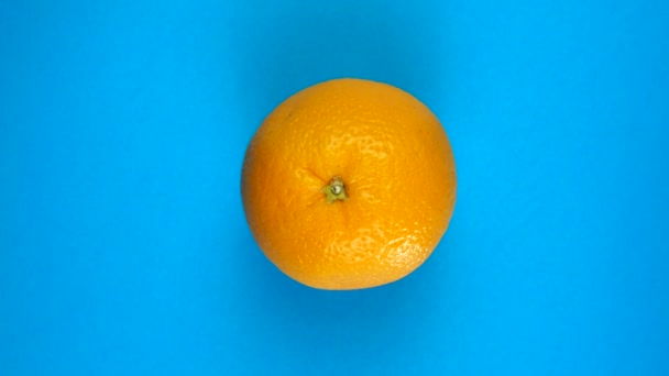 Vista superior da laranja girando lentamente no fundo azul isolado. — Vídeo de Stock