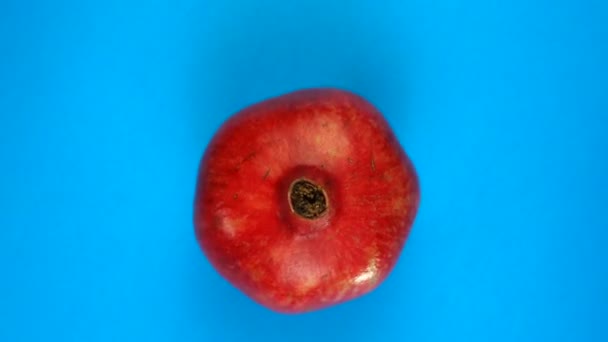 Färskt granatäpple roterande på blå bakgrund. Fruktjuice, tropik och avslappningskoncept. — Stockvideo