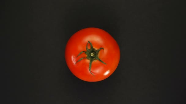Obrót całego pomidora na czarnym tle izolatu. Świeże soki, warzywa, witaminy i koncepcja lata. — Wideo stockowe