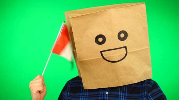 Retrato de homem com saco de papel na cabeça acenando bandeira egípcia com rosto sorridente contra fundo verde. — Vídeo de Stock