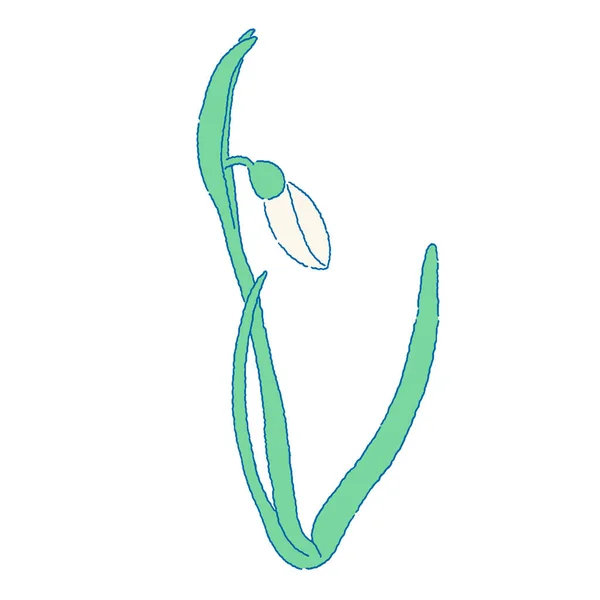 Unbloomed Snowdrop Flower Bud Line Illustration Galanthus Springtime Flower — стоковый вектор