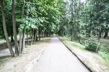 Nehir kenarındaki orman manzarası 