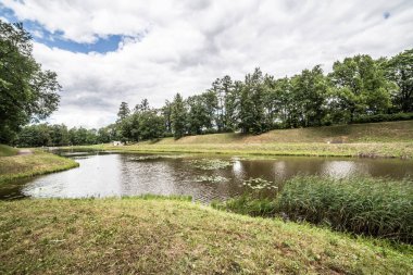 Nehir kenarındaki orman manzarası 