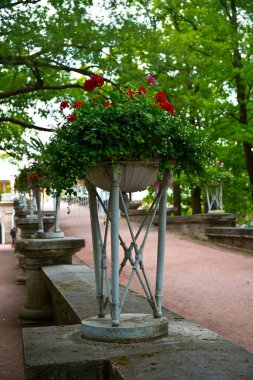 Nehir kenarındaki orman manzarası 