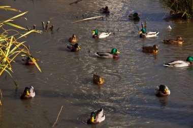 Su manzarası, deniz manzarası. 