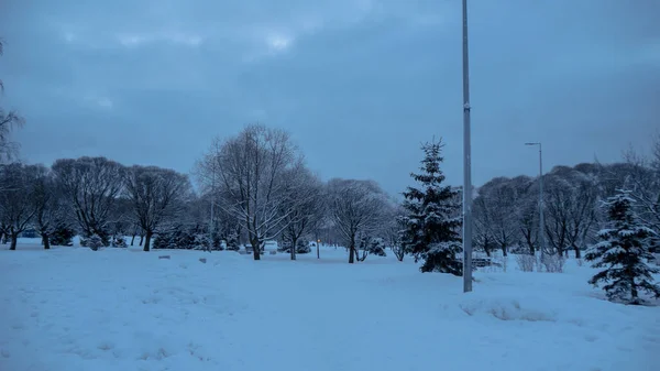 Panorama Parken Vintern — Stockfoto